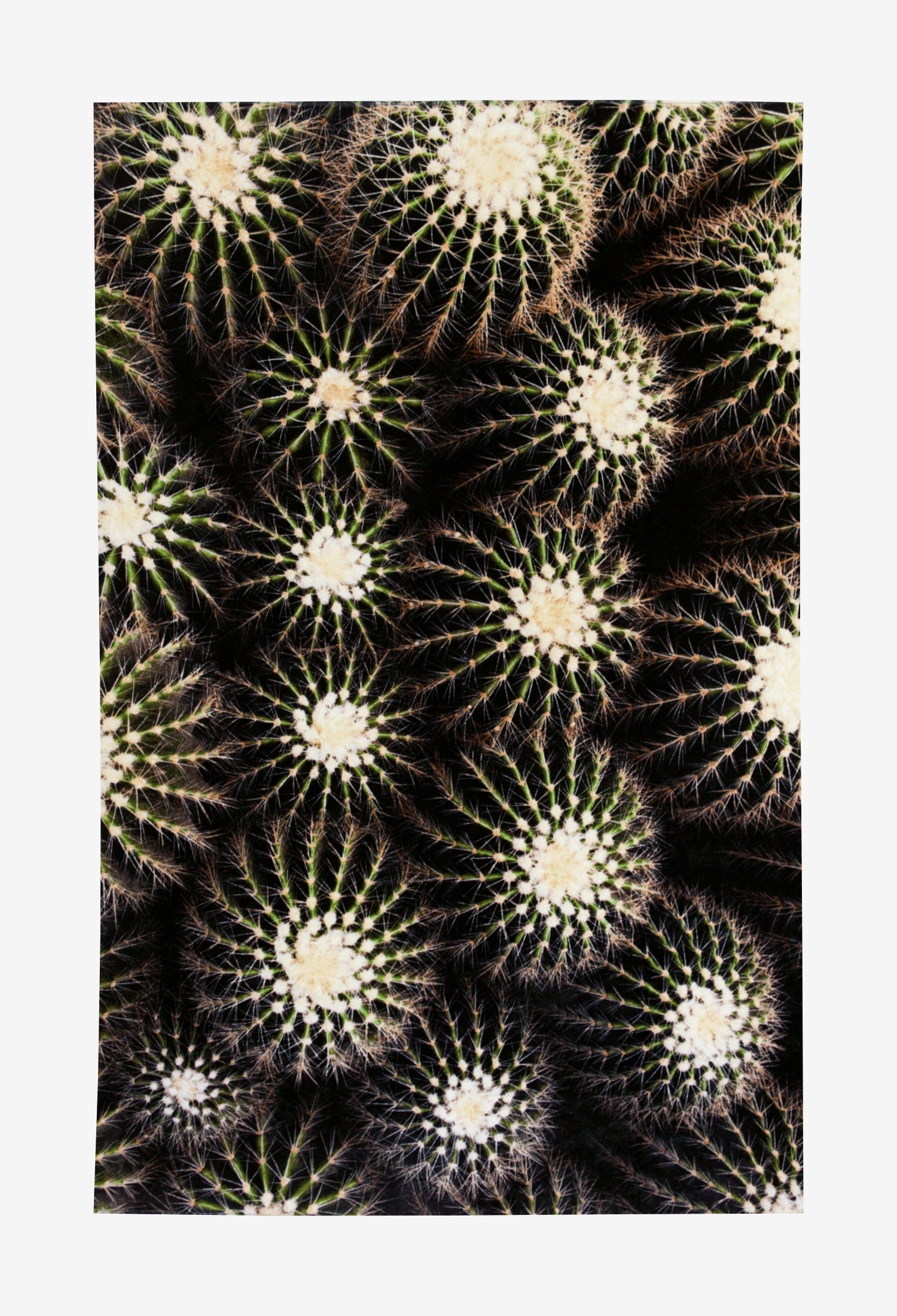 Strandtuch Kaktus