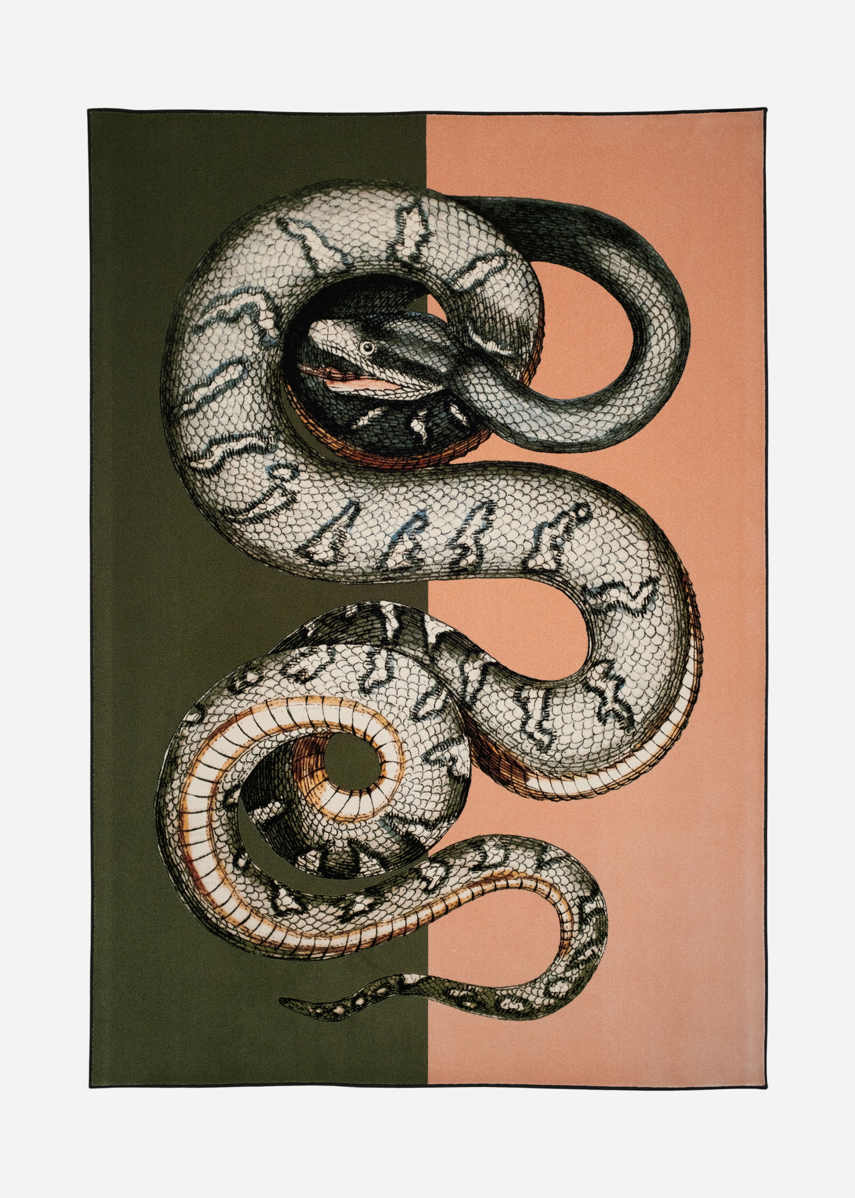 Teppich Serpentes 1