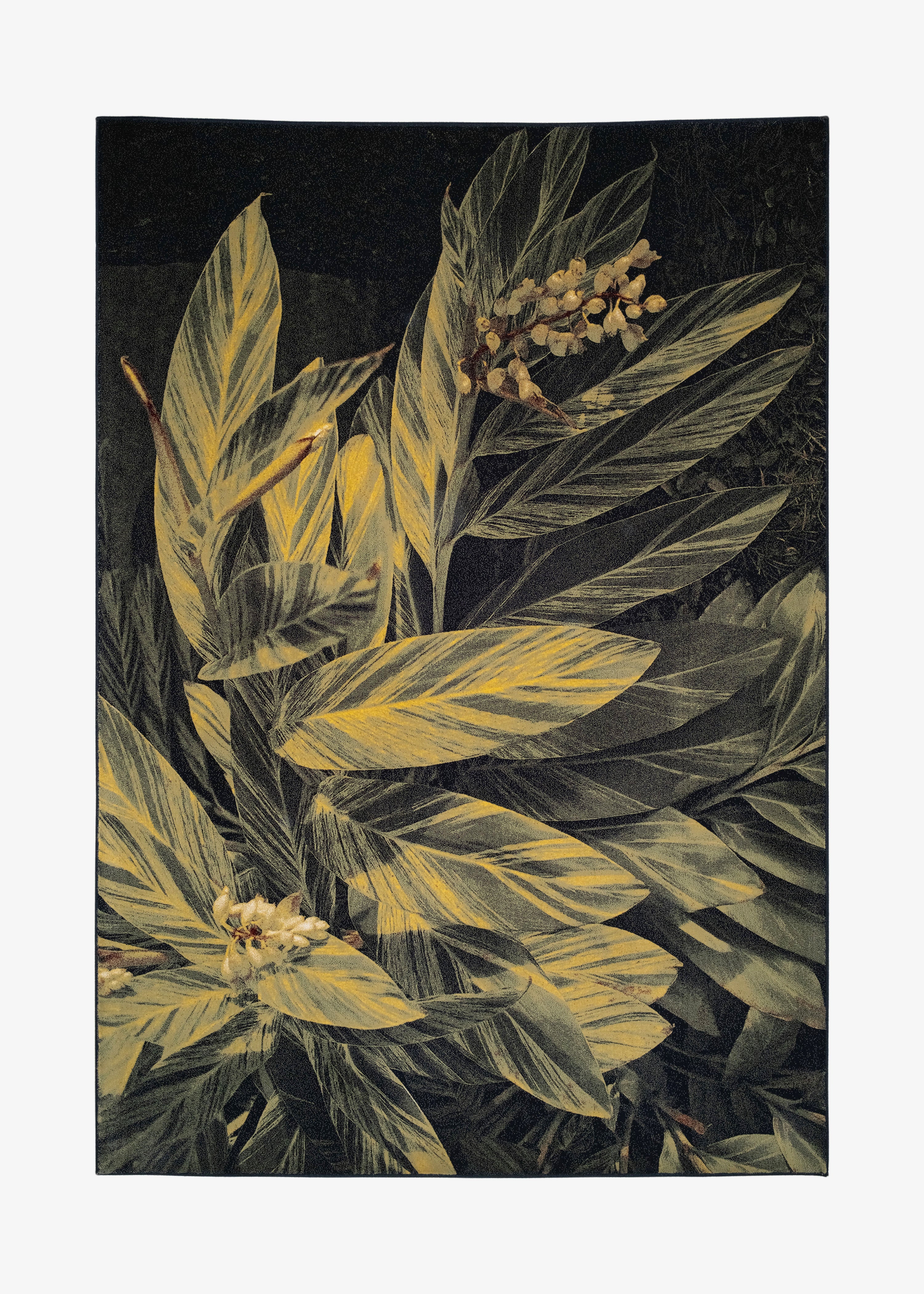 Rug Tropicana 5