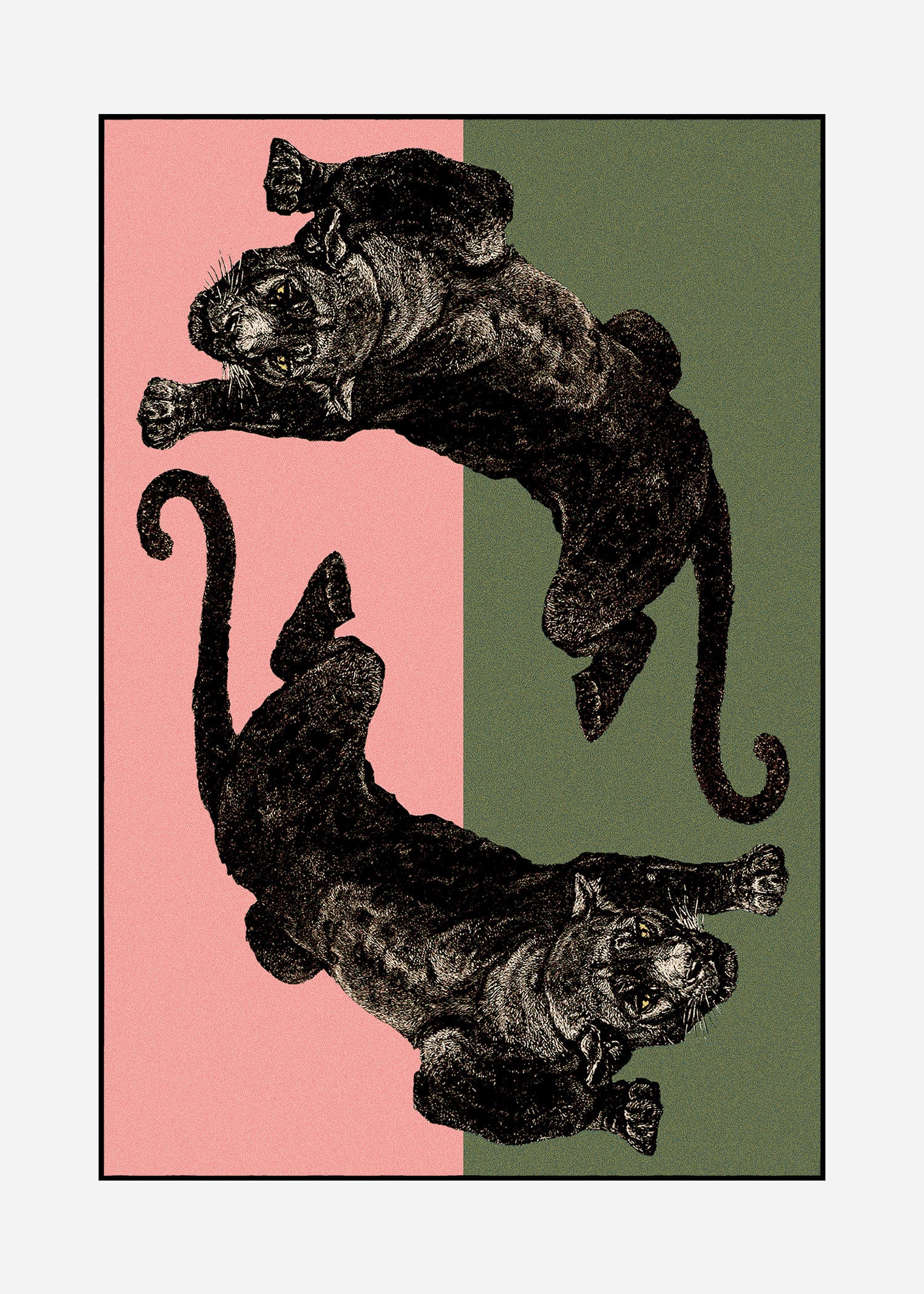 Rug Panthera 1