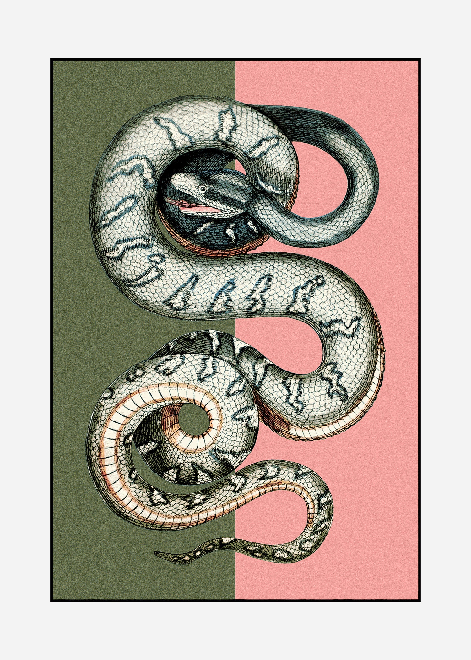 Teppich Serpentes 1