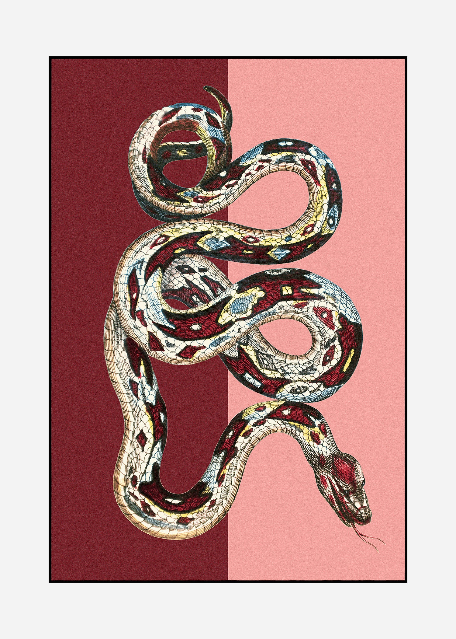 Teppich Serpentes 2