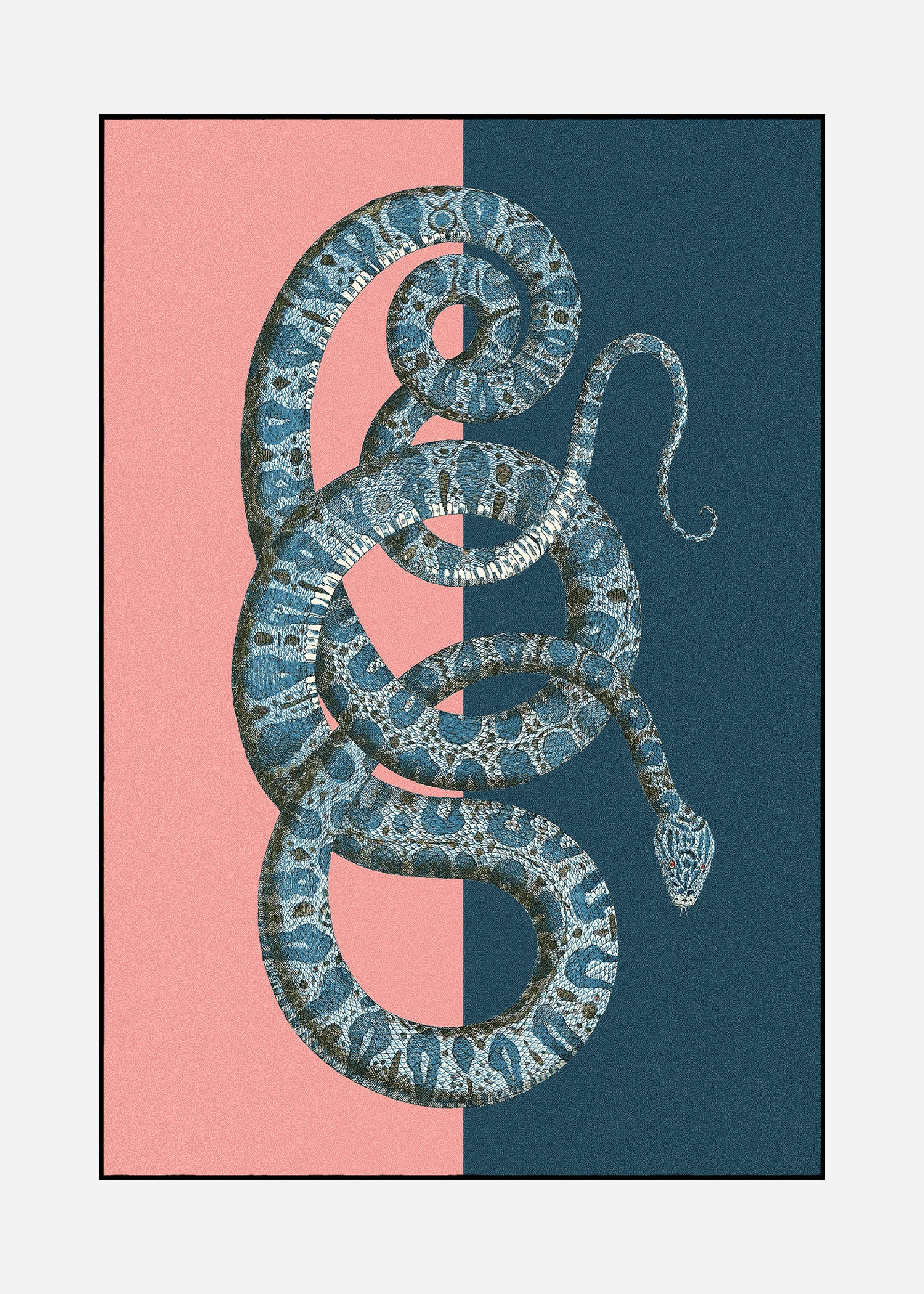 Rug Serpentes 3