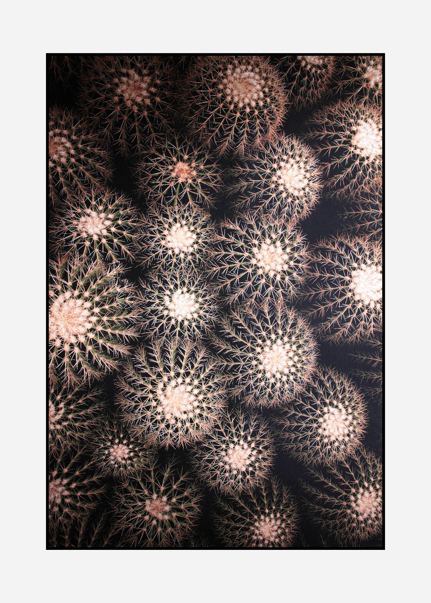 Rug Tropicana 6