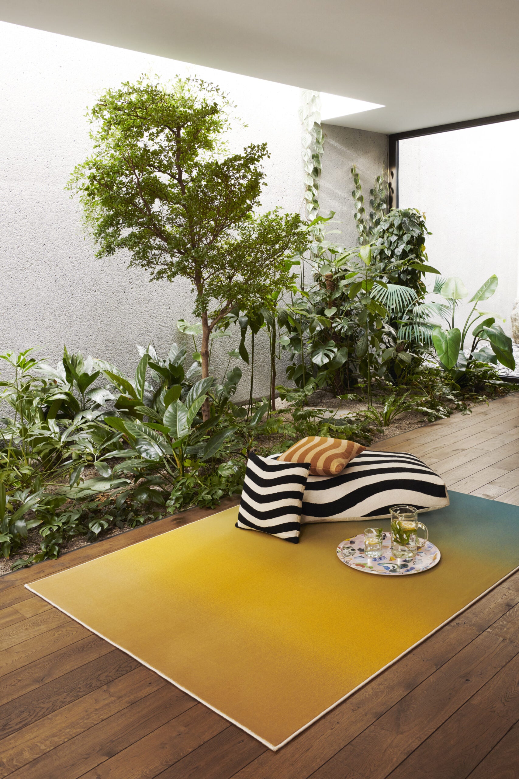 Rug Paradiso 2