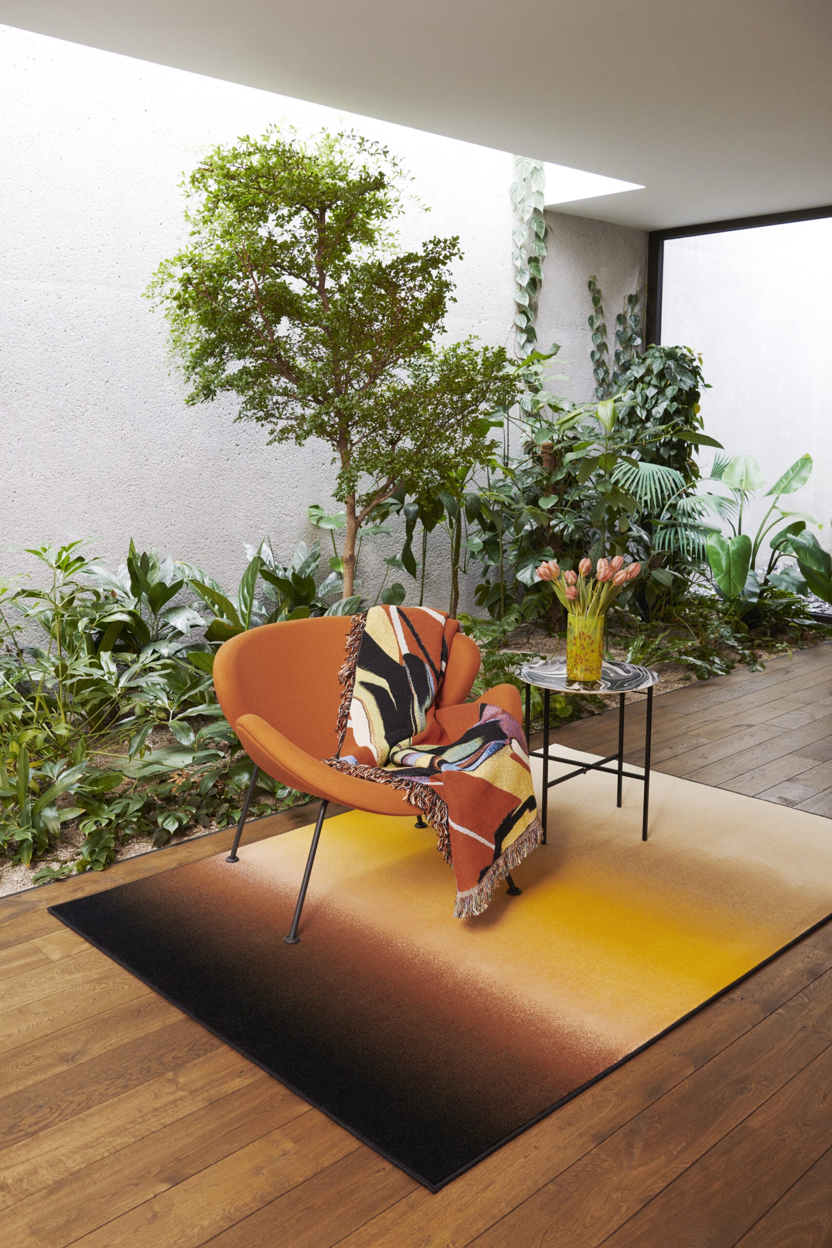 Rug Paradiso 1
