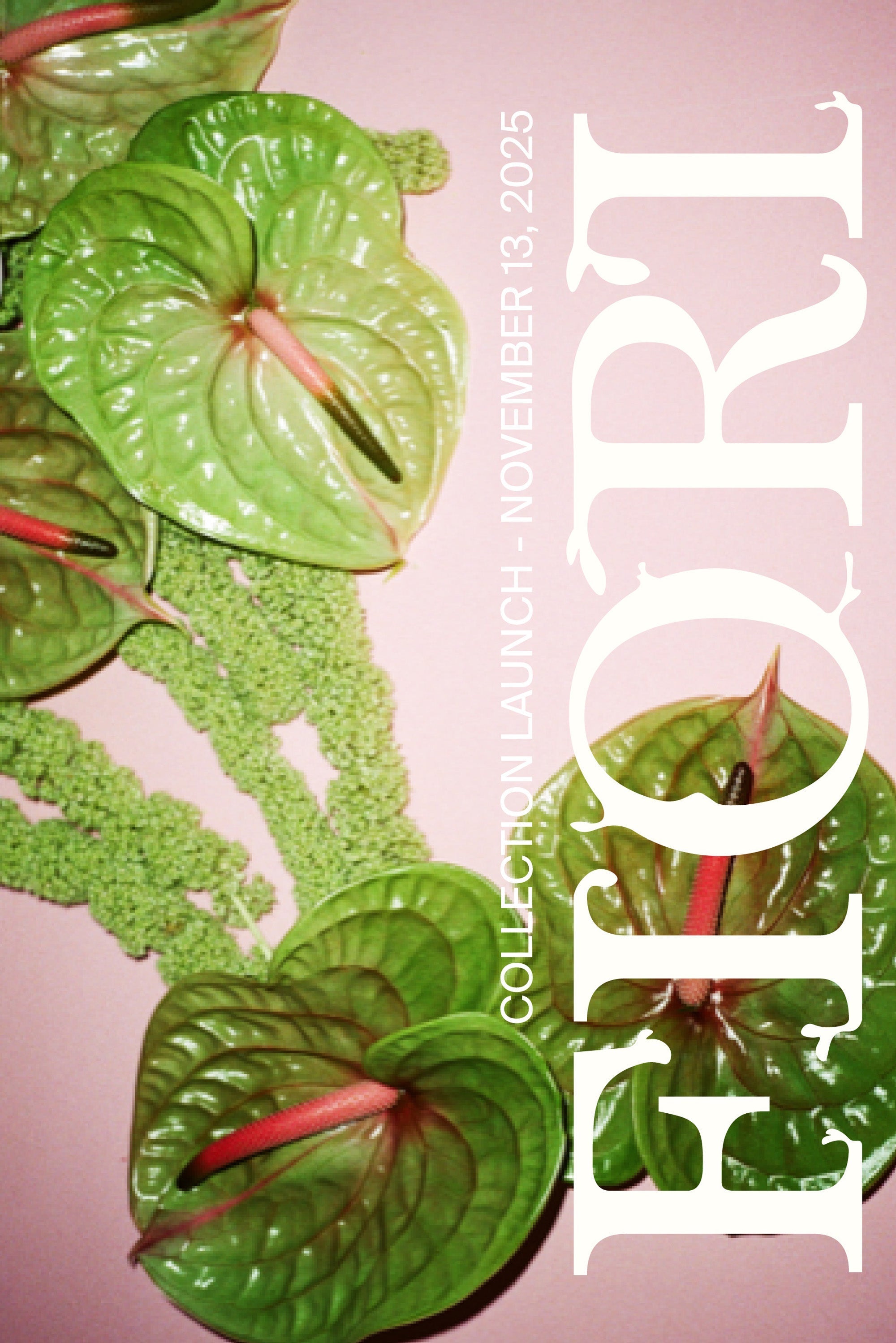 The Fiori Collection Launch