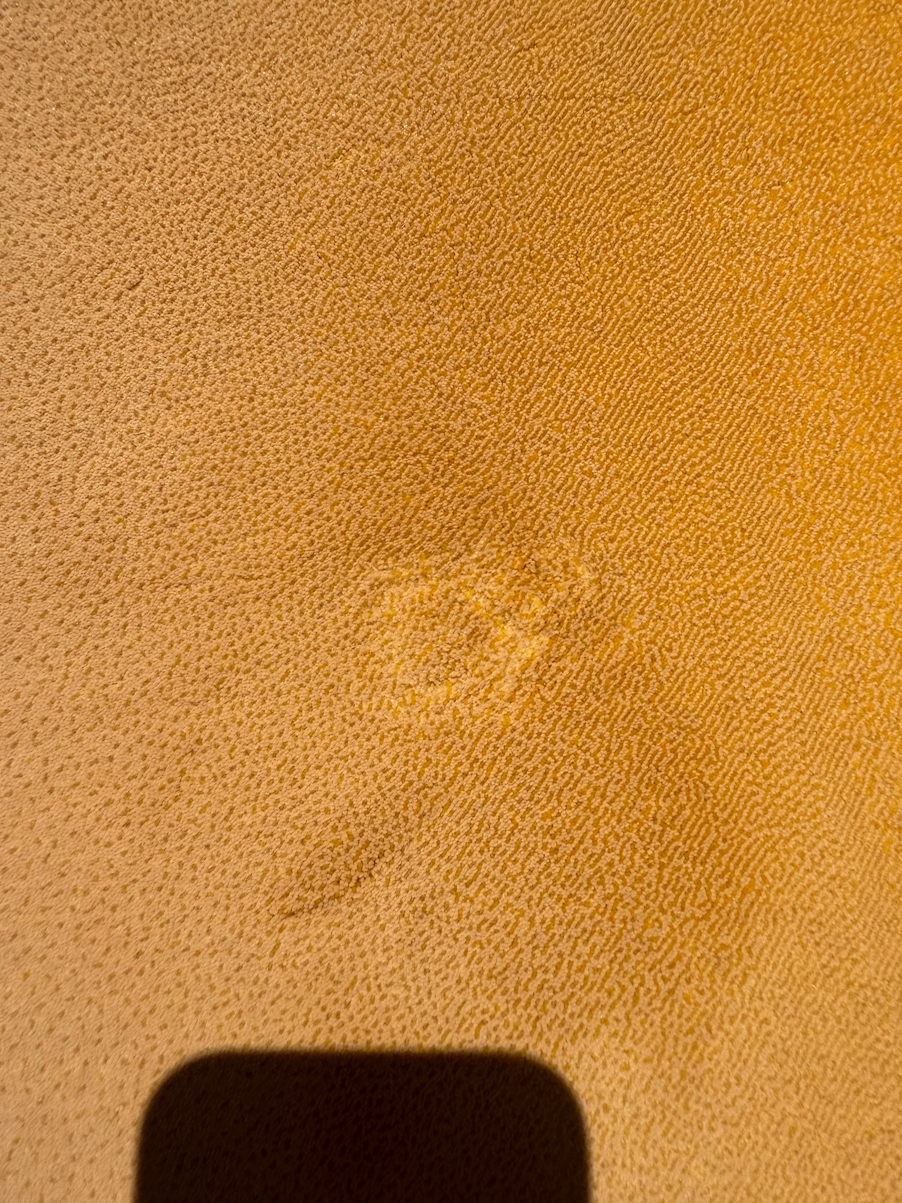 Sale Rug Paradiso 2