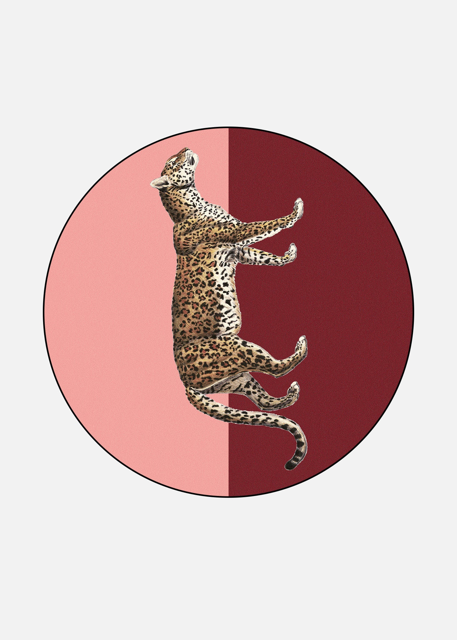 Rug Panthera 2