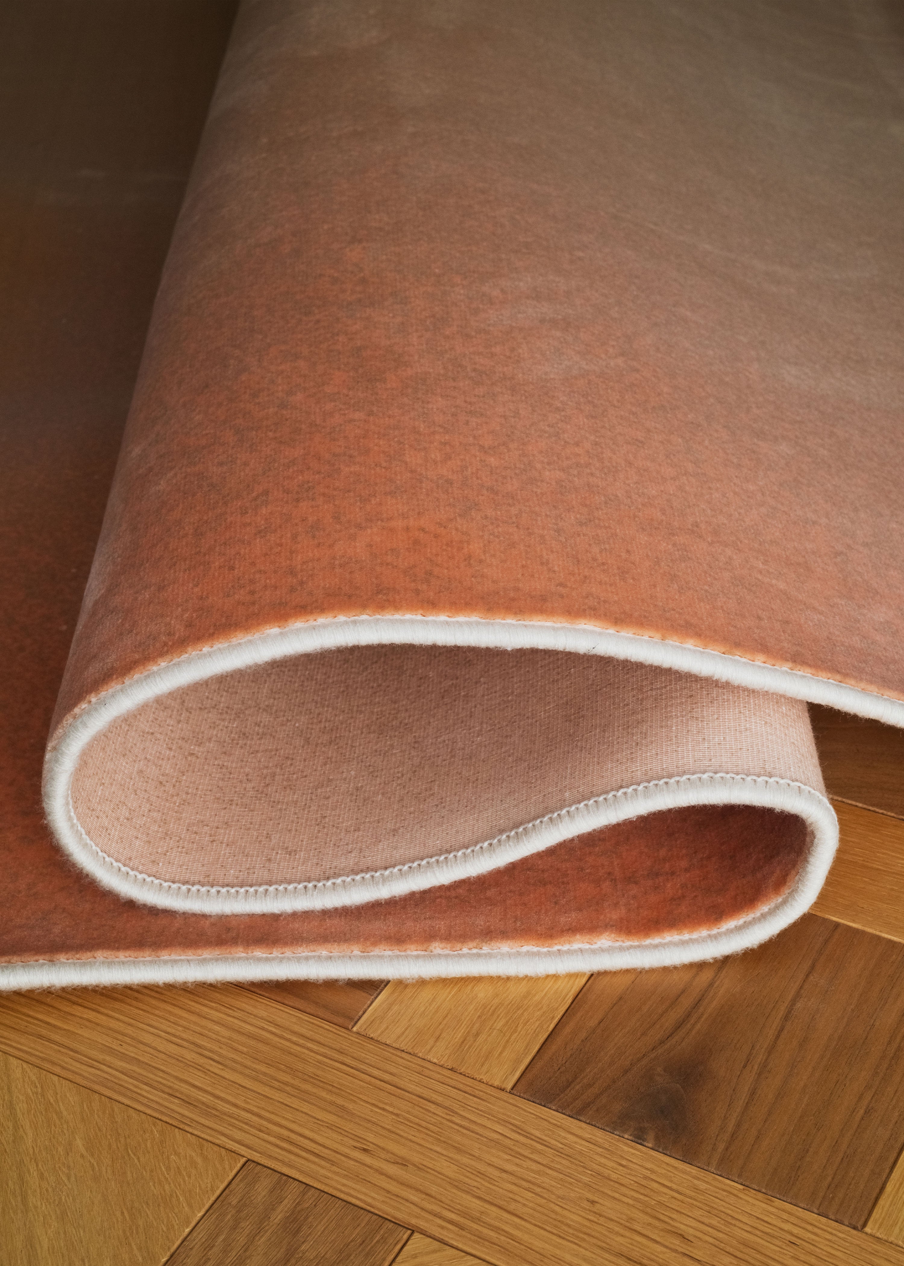 Rug Paradiso 3