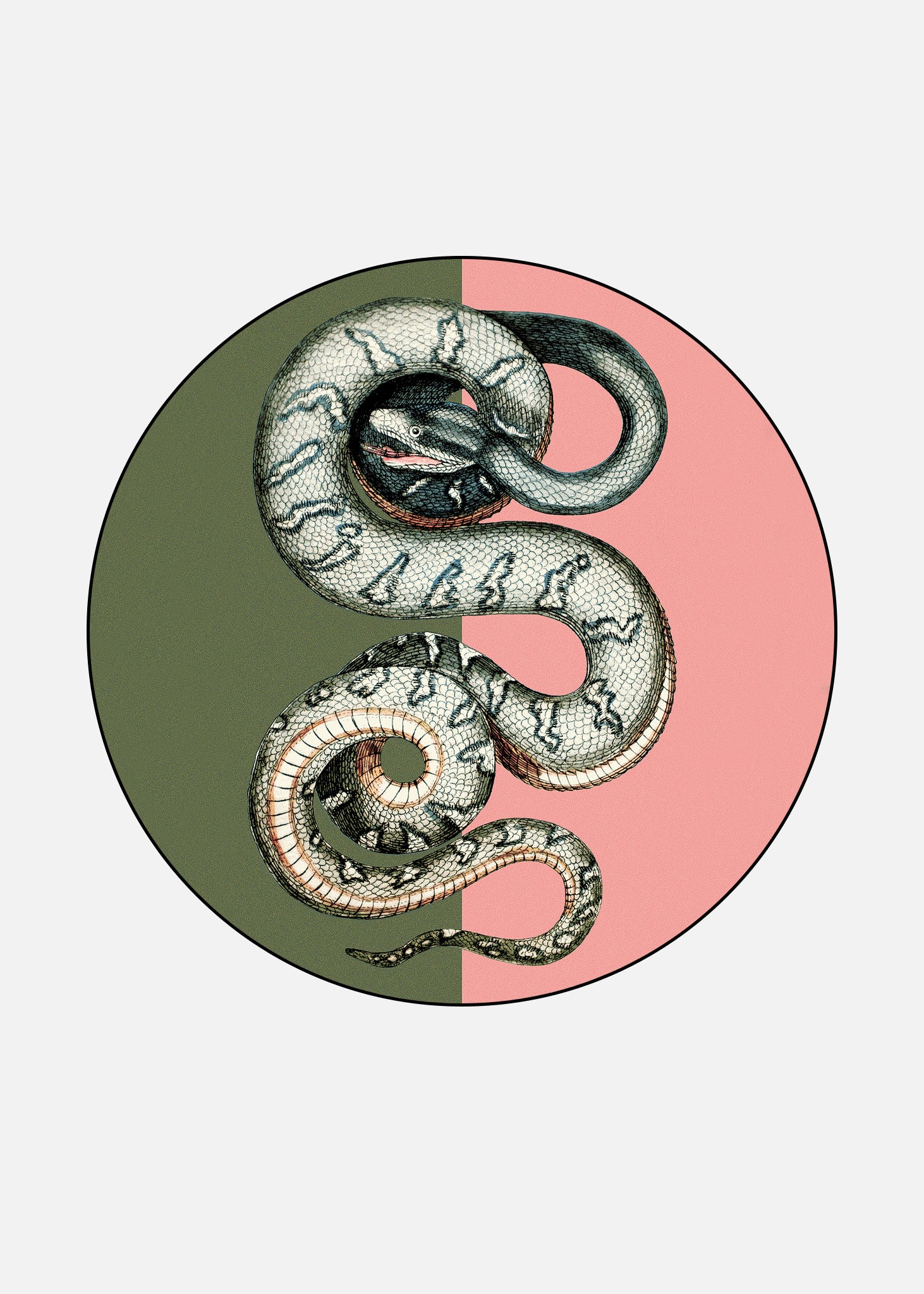 Rug Serpentes 1