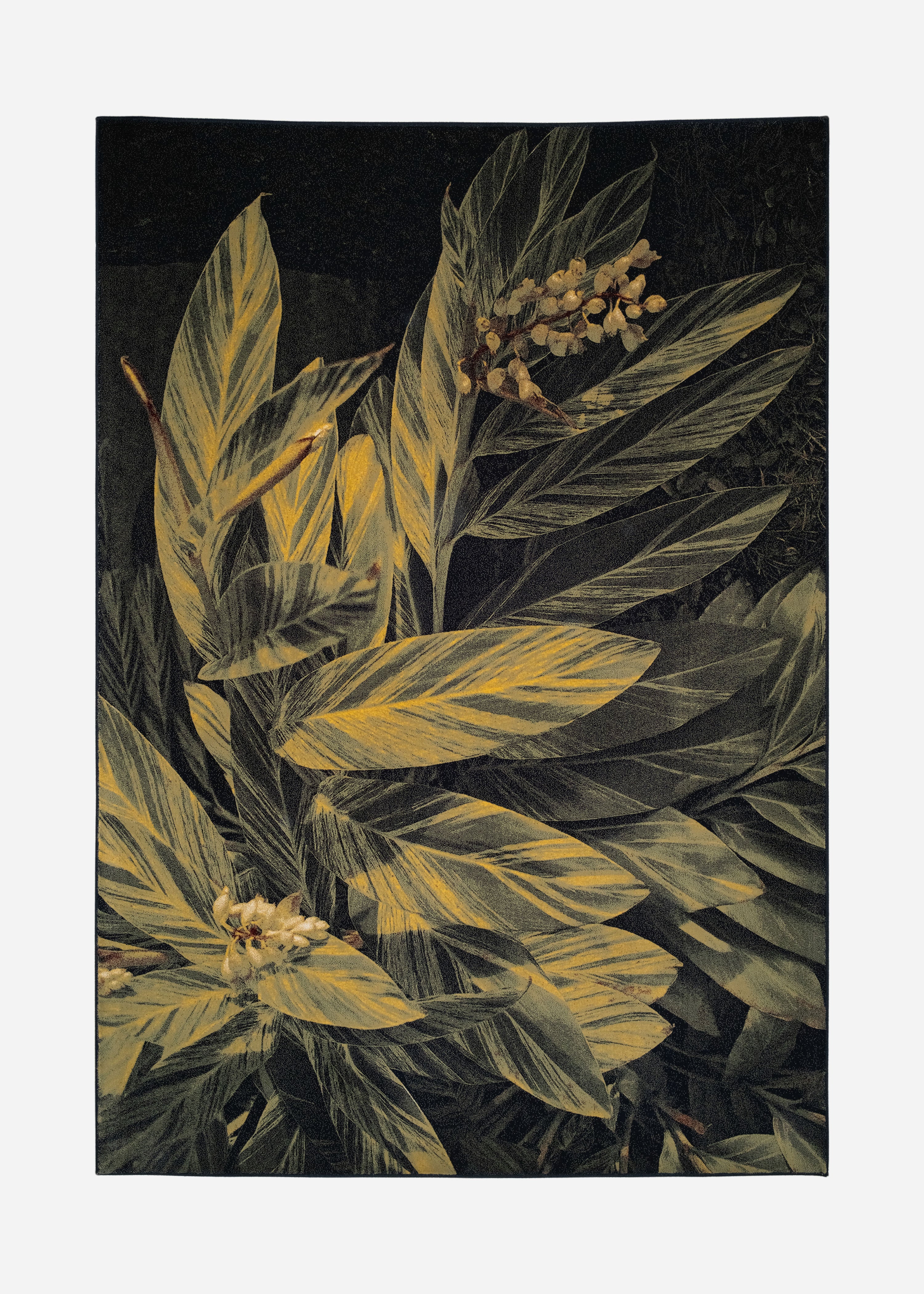 Rug Tropicana 5