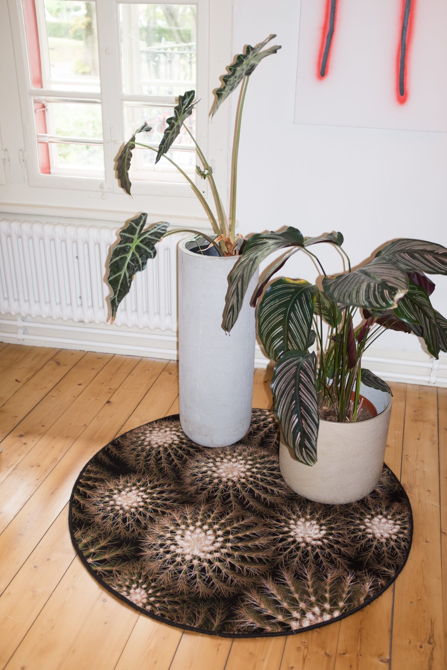 Rug Tropicana 6