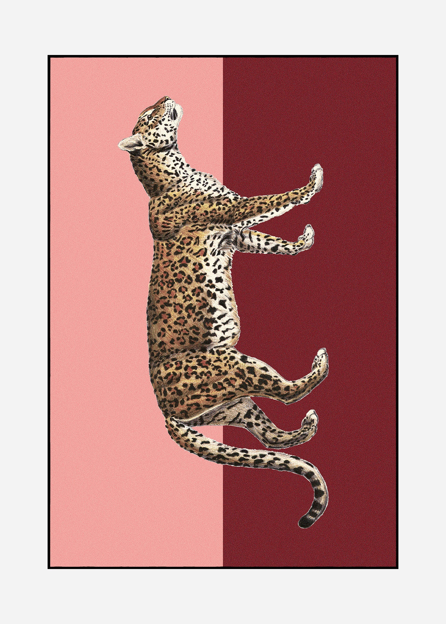 Rug Panthera 2