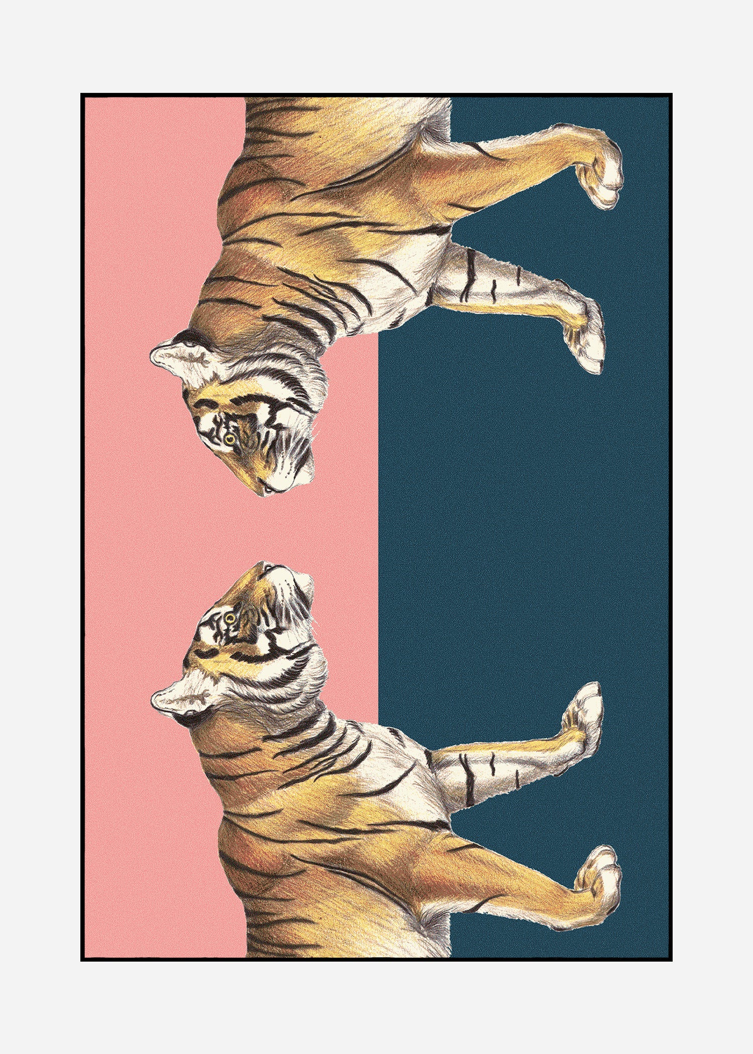 Rug Panthera 3