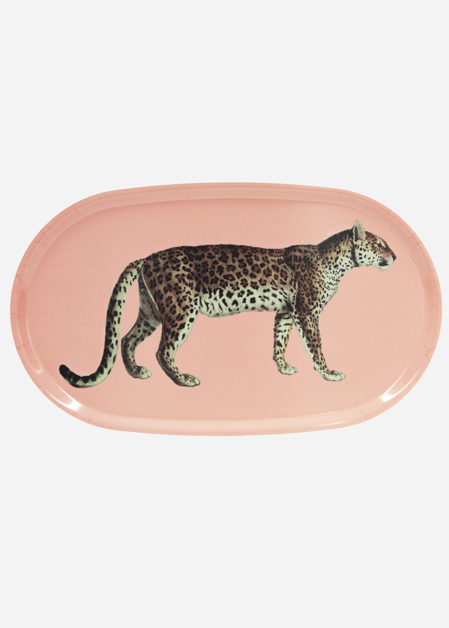 Tray Panthera 1