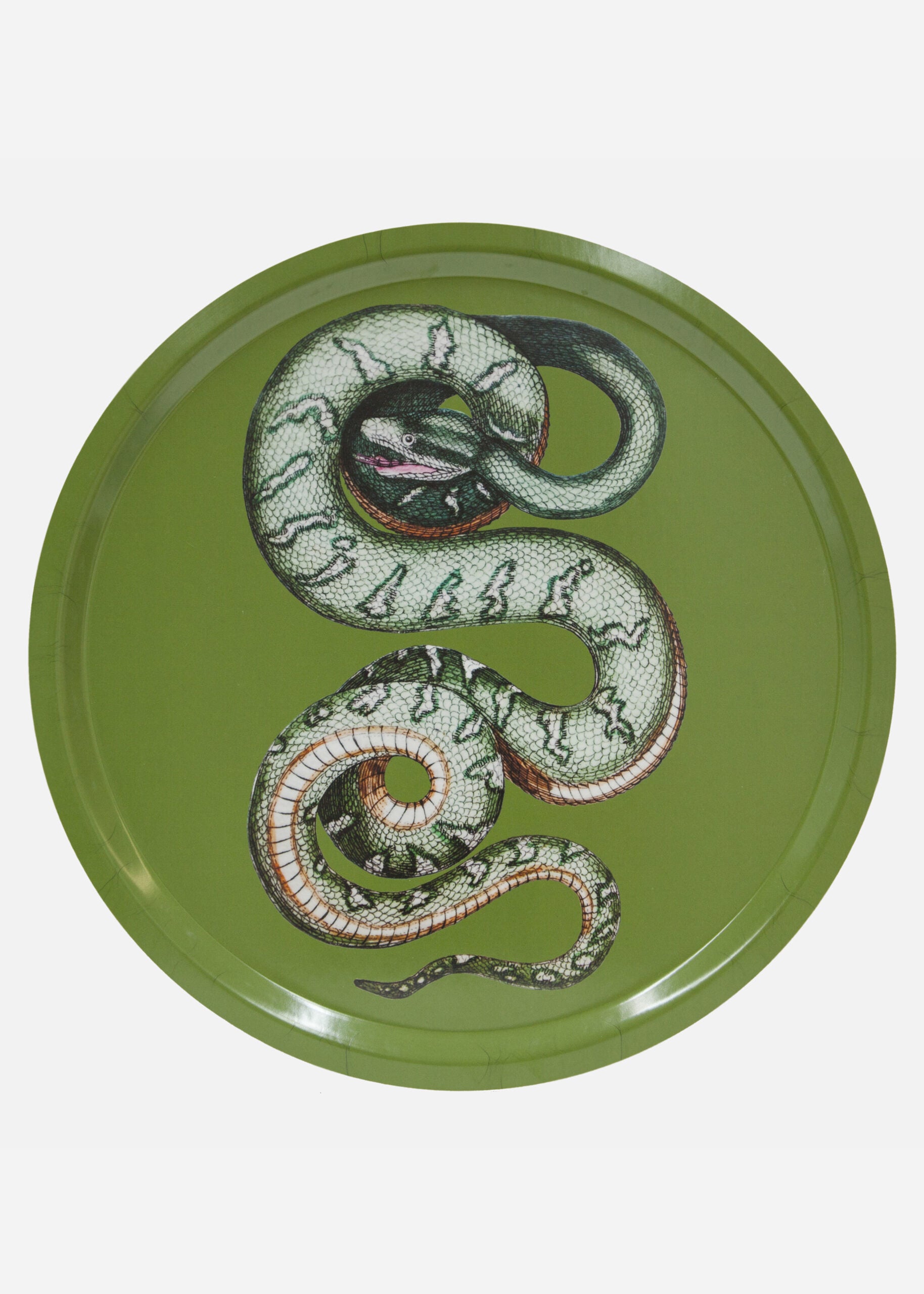 Tray Serpentes 1