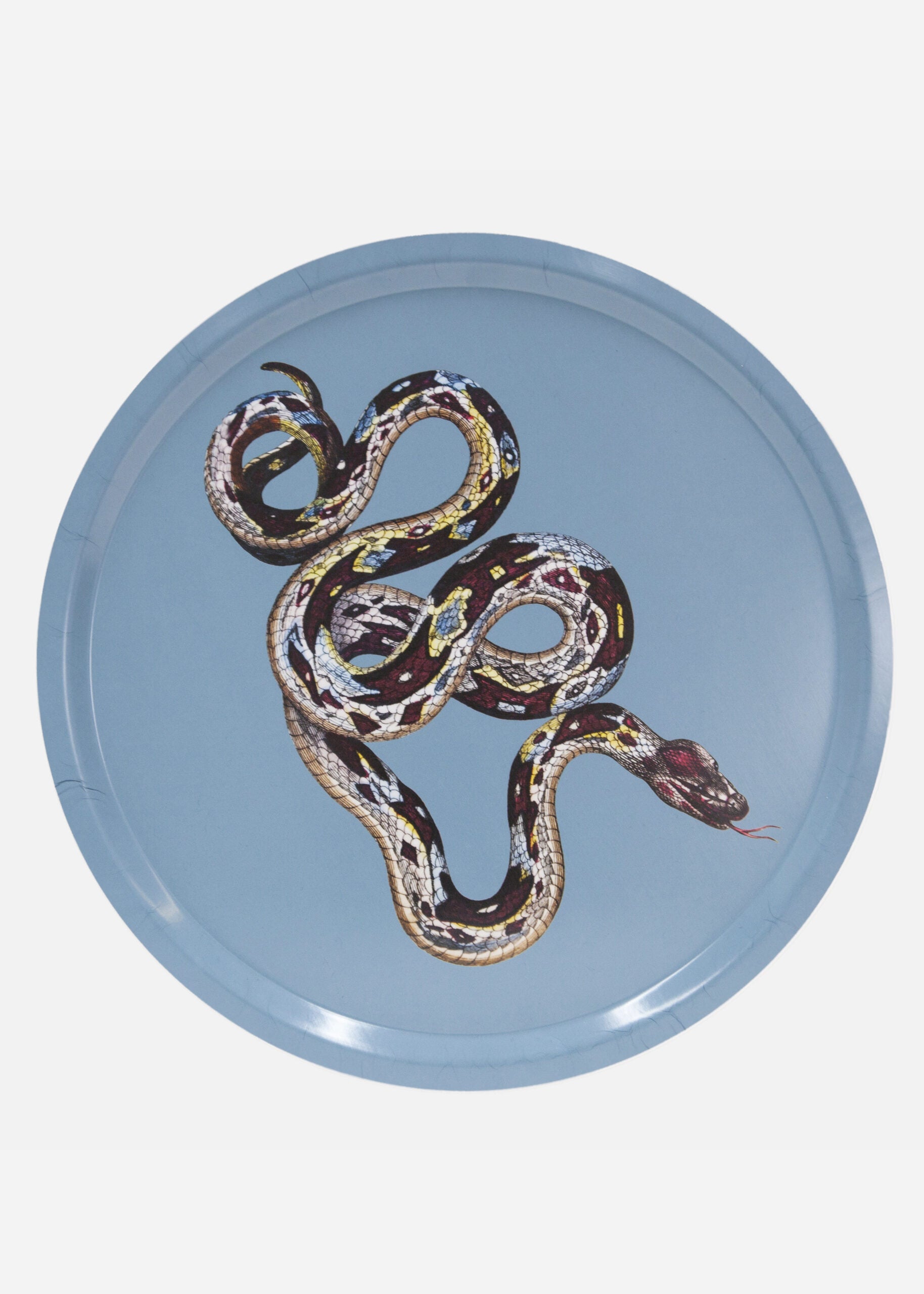 Tray Serpentes 2